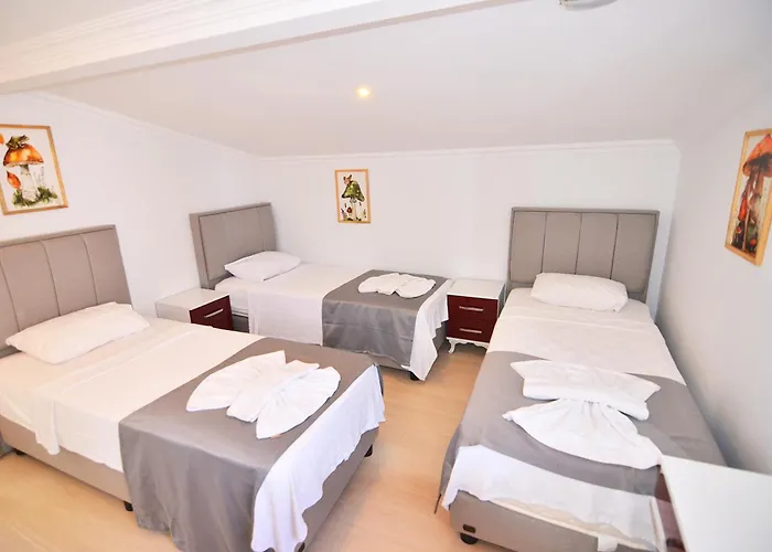 Mykonut Aparthotel